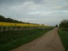 DSCF0026